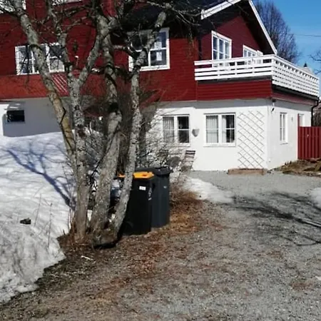 Koselig I * Tromsø