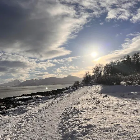 Koselig I Appartement Tromsø